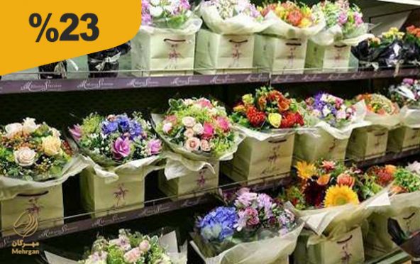 گلفروشی اطلسی(زنجان)