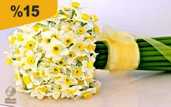 گلفروشی بامبو(تویسرکان)