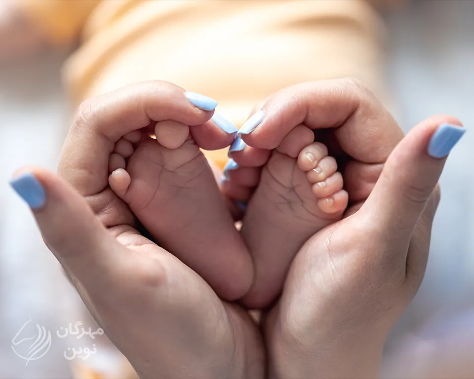 خانم مریم بهادری